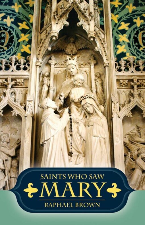 SAINTS WHO SAW MARY