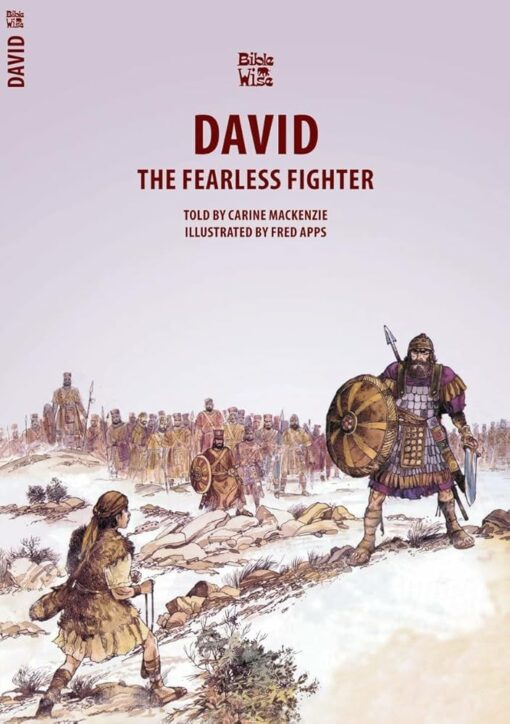 BIBLEWISE DAVID THE FEARLESS FIGHTER