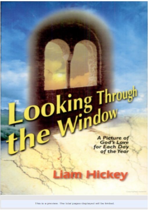 LOOKING THROUGH THE WINDOW