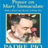 MEDITATION PRAYER ON MARY IMMACULATE