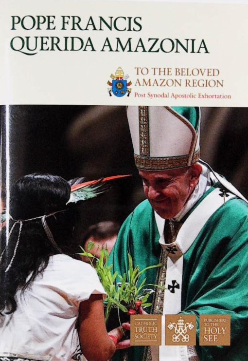 QUERIDA AMAZONIA:  TO THE BELOVED AMAZON