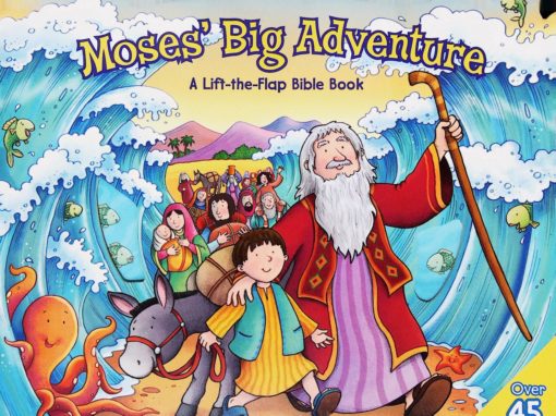 MOSES BIG ADVENTURE A LIFT THE FLAP