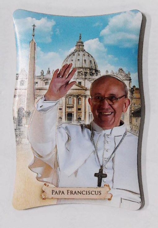 1108P17 POPE FRANCIS W VATICAN