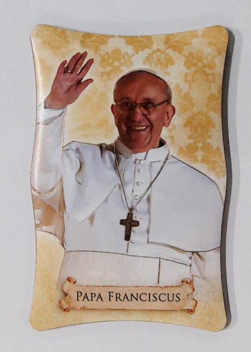 1108P18 POPE FRANCIS