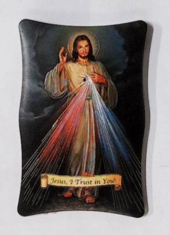 1269G01 HNIENA DIVINA 70×110MM