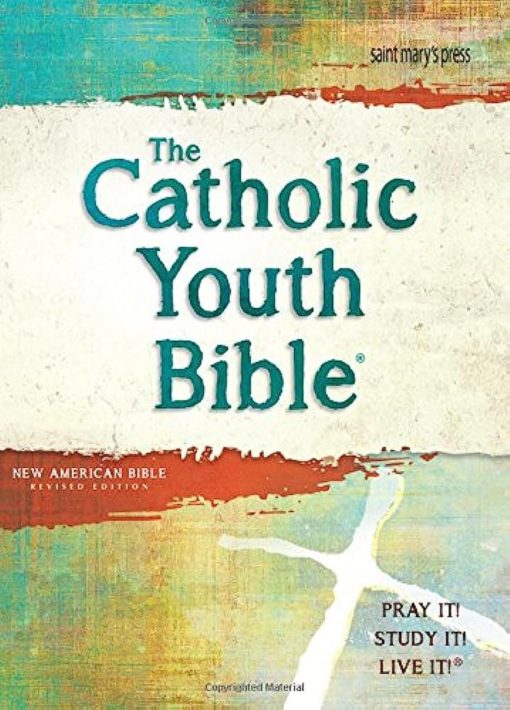 THE CATHOLIC YOUTH BIBLE