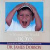 THE WONDERFUL WORLD OF BOYS