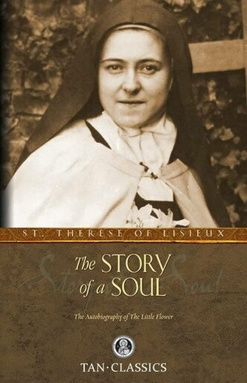 THE STORY OF A SOUL