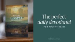 ADVENT GOSPEL REFLECTIONS