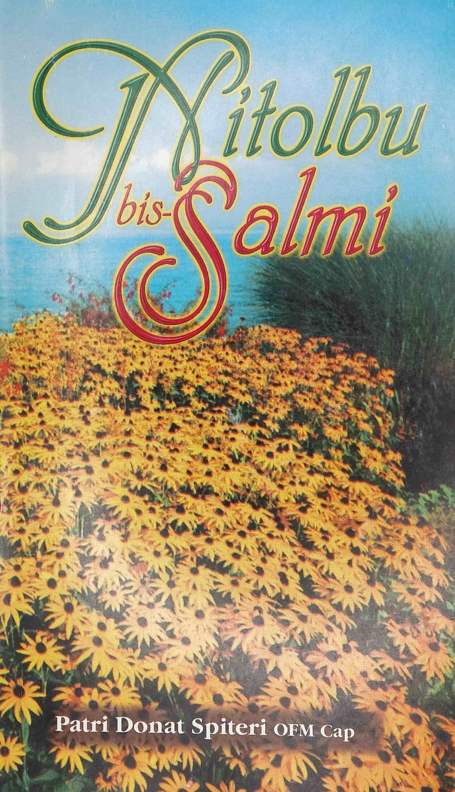 NITOLBU BIS-SALMI