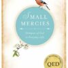 SMALL MERCIES: GLIMPSES OF GOD
